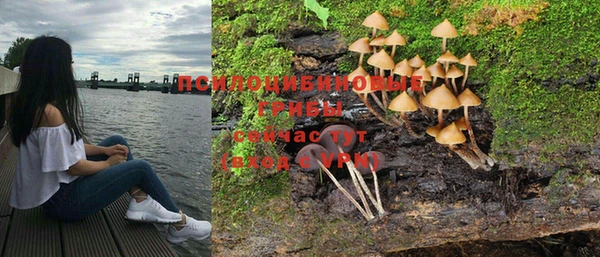 тгк Козловка