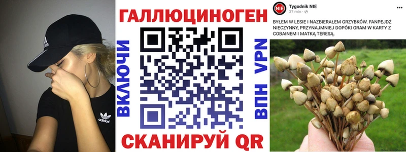 Псилоцибиновые грибы Psilocybine cubensis  Купить  Назарово 